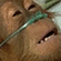 :orangu_orangutan_ape: