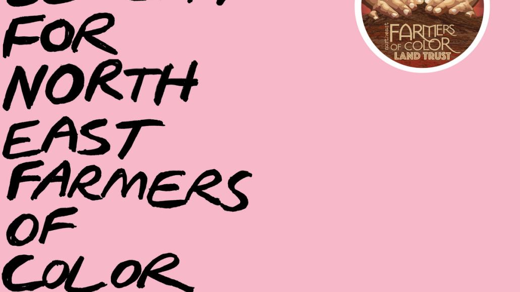 kathleen hanna mirrorball Erica Dawn Lyle vice cooler new song stream LAND TRUST Benefit For North East Farmers of Color artwork